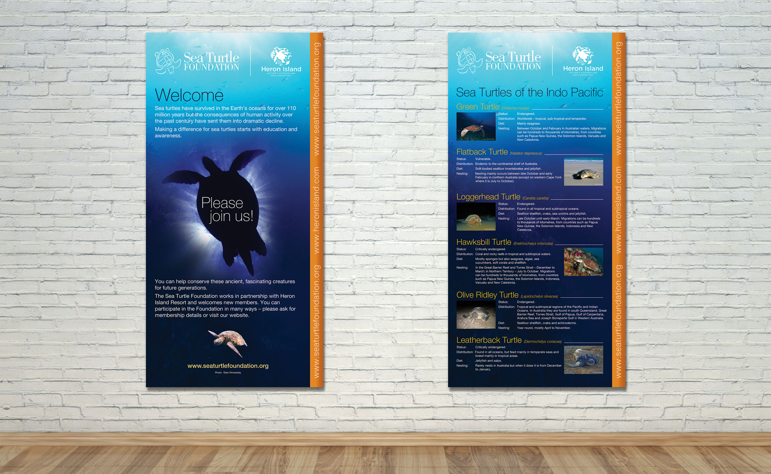 Sea Turtle Foundation large wall posters